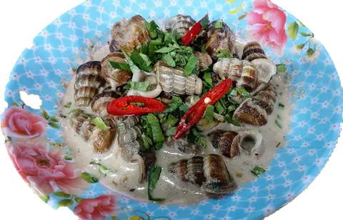 Hình ảnh Ốc  Len Xào Dừa 