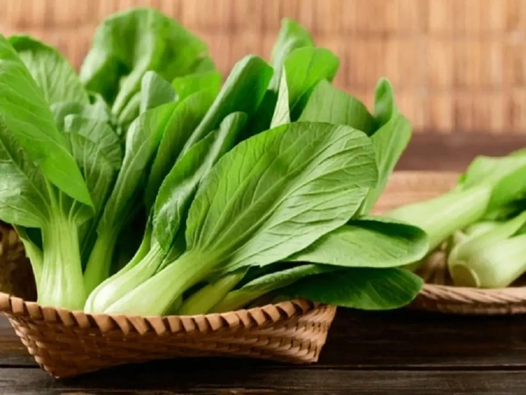 Hình ảnh Cải thìa thêm