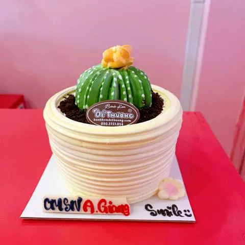 Hình ảnh bánh kem mini chậu cây xương rồng