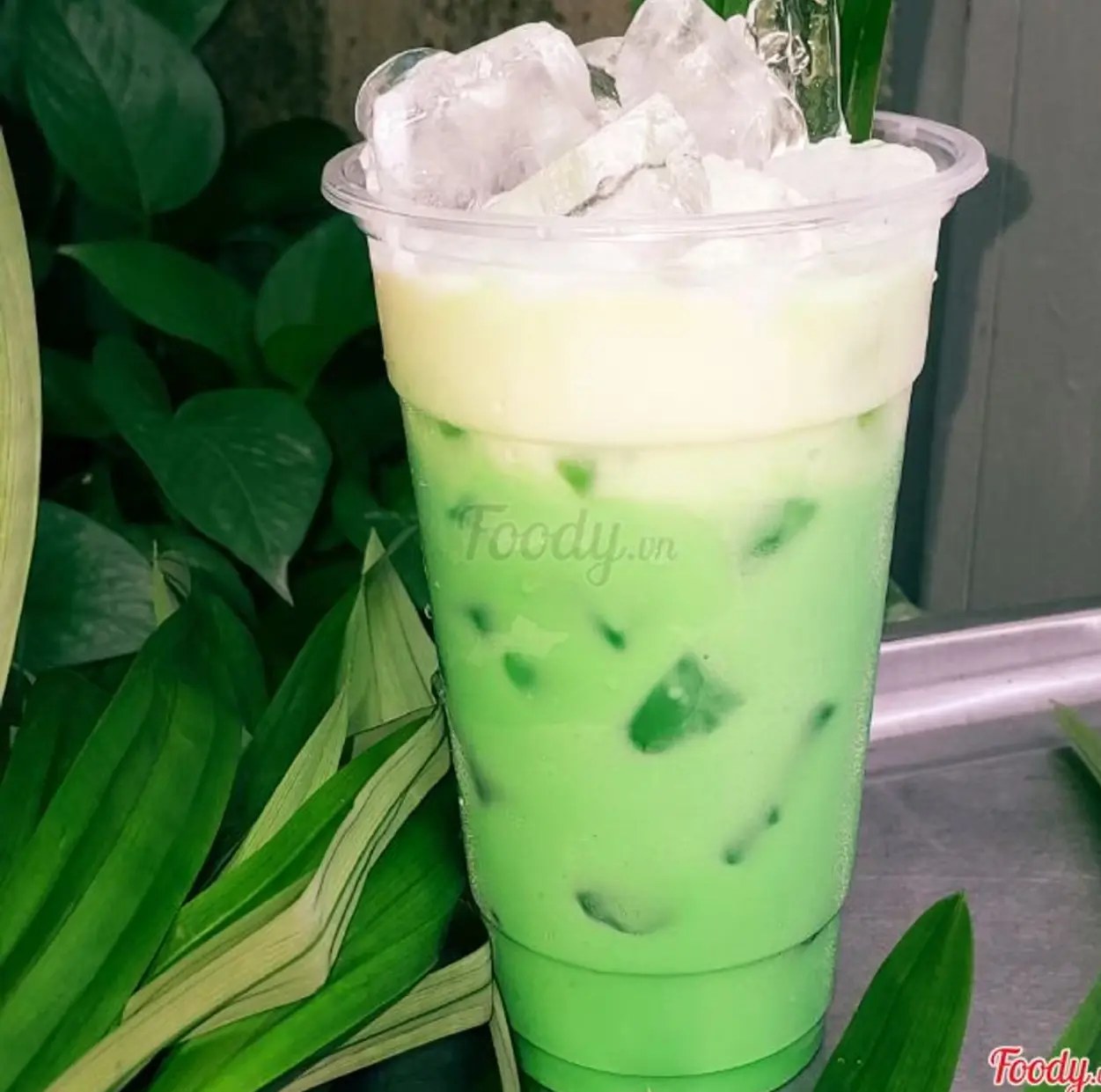 Hình ảnh Sâm Dứa Sữa Tươi