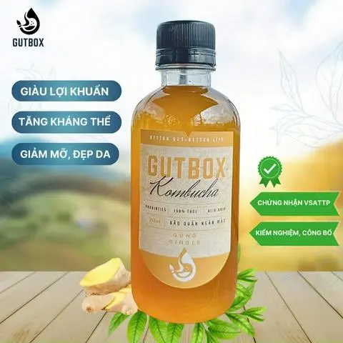 Hình ảnh Kombucha gừng
