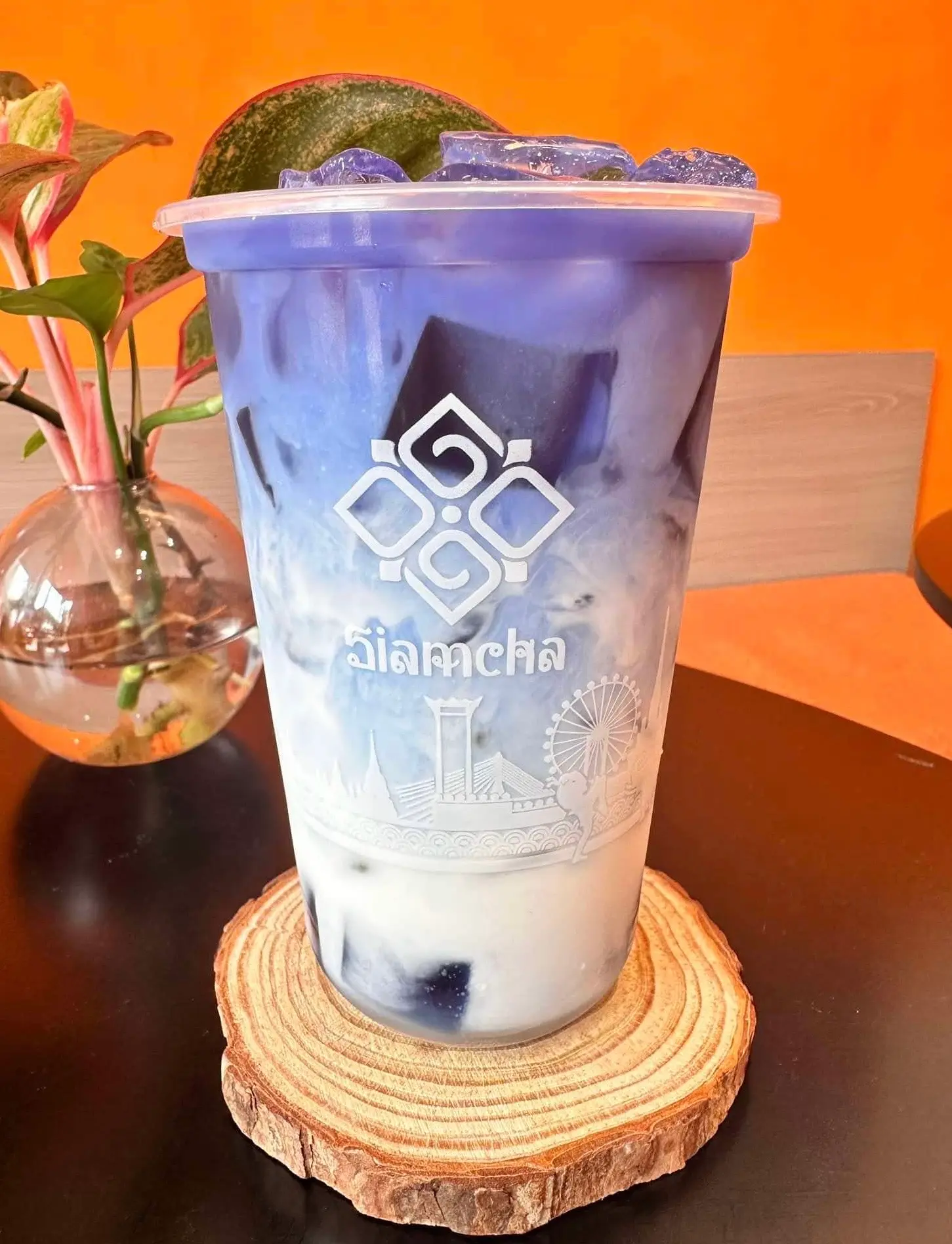 Hình ảnh Sữa Dừa Hoa Đậu Biếc