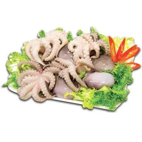 Hình ảnh LẨU BẠCH TUỘC LỚN 