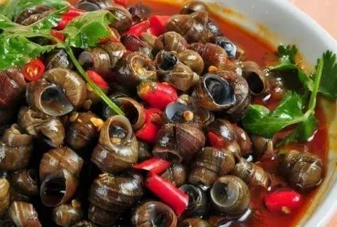 Hình ảnh ốc đắng xào xả ớt 