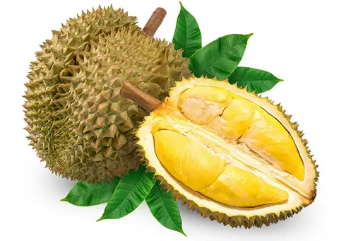 Hình ảnh cơm sầu riêng thái 500g