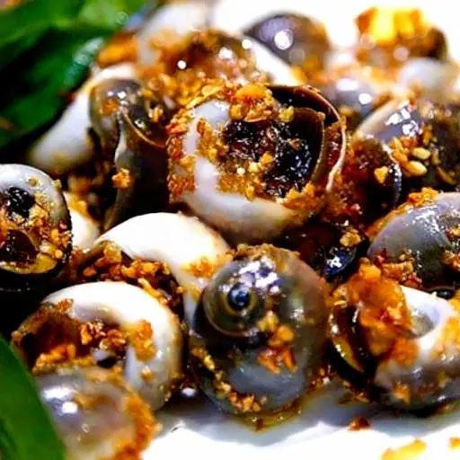 Hình ảnh Ốc mỡ