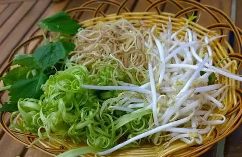 Hình ảnh Rau giá (bịch)