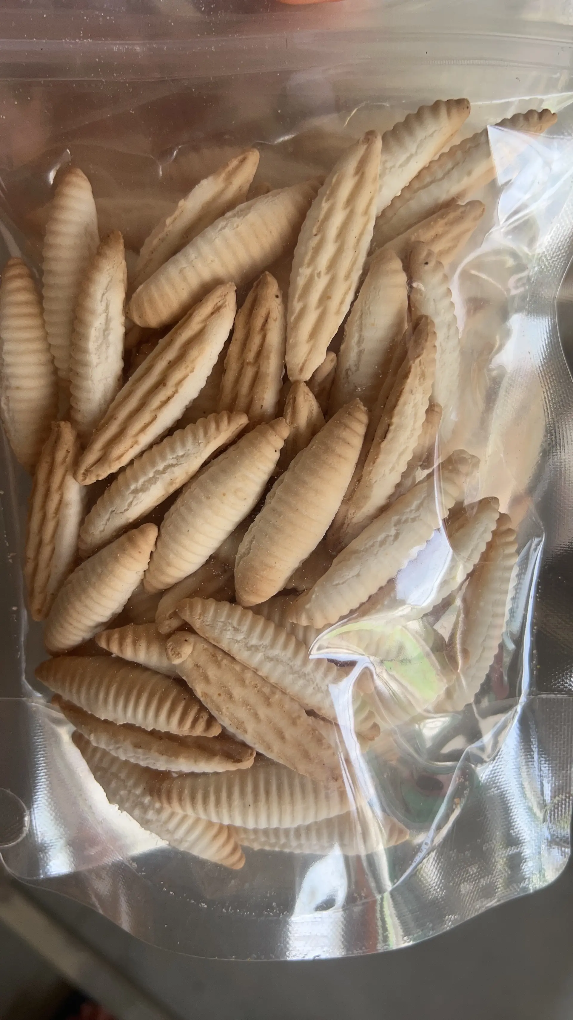 Hình ảnh bánh men con sâu