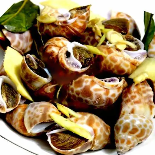Hình ảnh Ốc hương