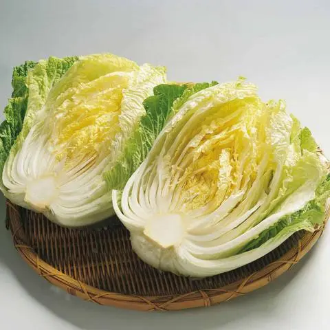 Hình ảnh CẢI THẢO