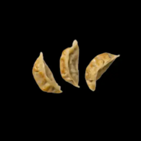 Hình ảnh Gyoza - Sủi Cảo Nhật (3pcs)