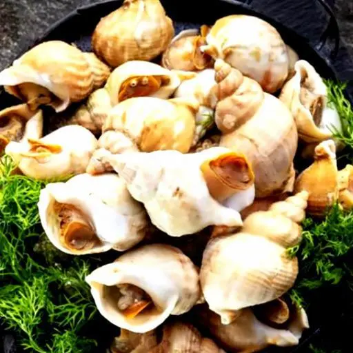 Hình ảnh Ốc bullot