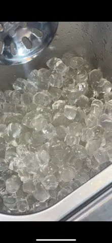 Hình ảnh Trân châu trắng