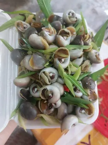 Hình ảnh ốc mỡ hấp sả