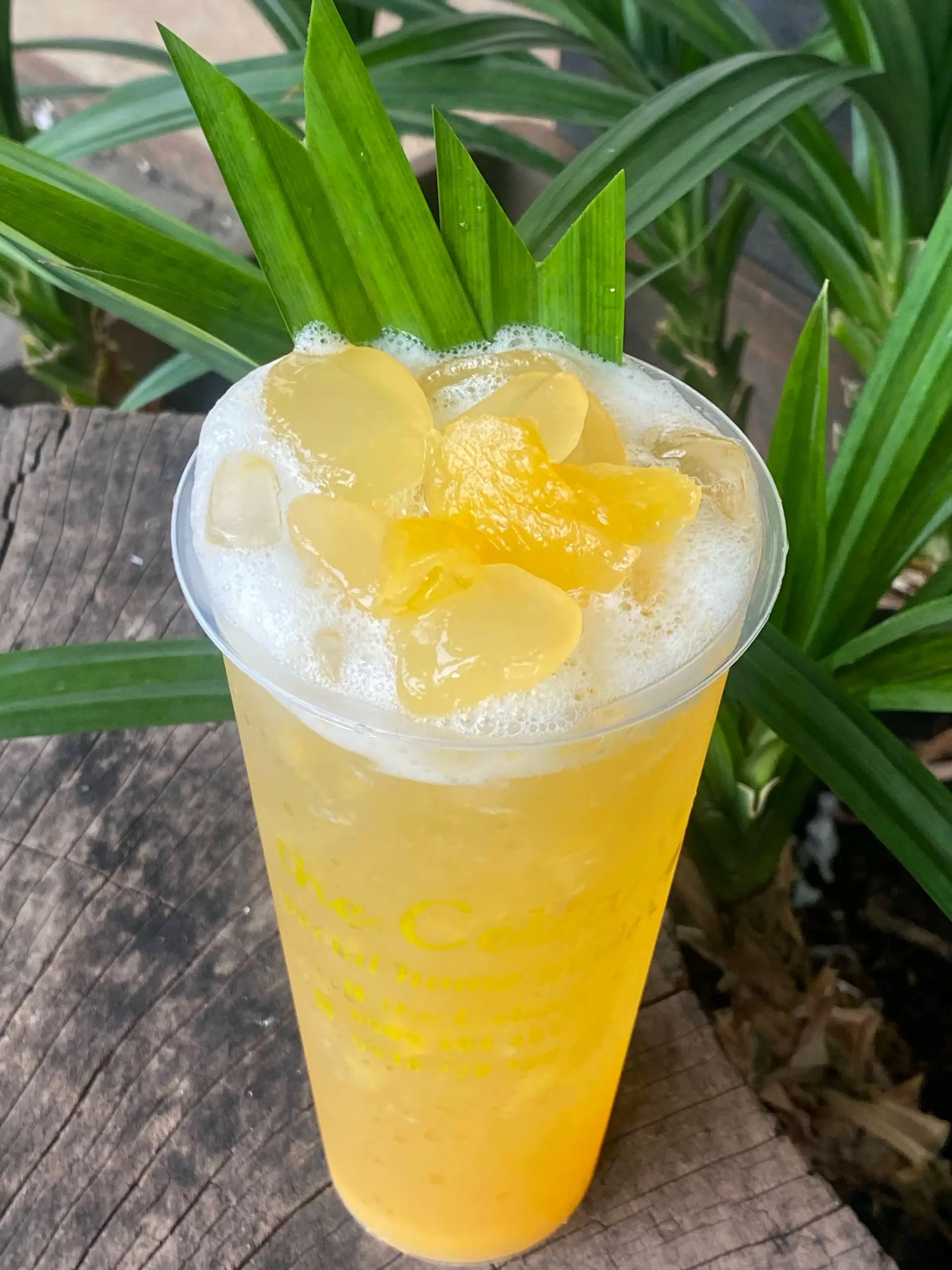 Hình ảnh TRÀ LÀI ĐÁC THƠM