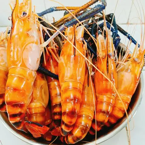 Hình ảnh Tôm càng xanh