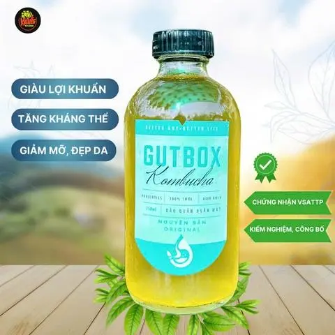 Hình ảnh Kombucha Tươi - Vị Nguyên Bản