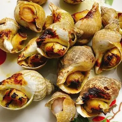 Hình ảnh ốc bulot nướng mọi