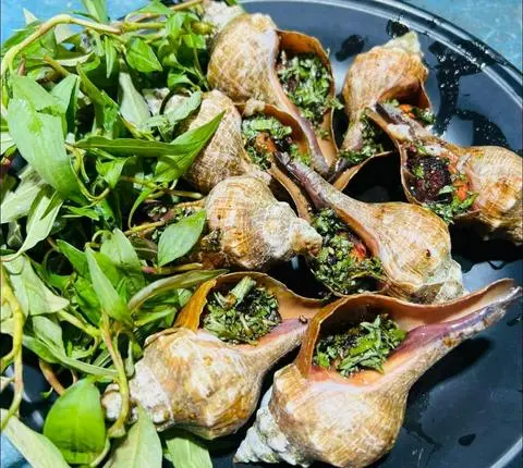 Hình ảnh ốc đỏ hấp sả