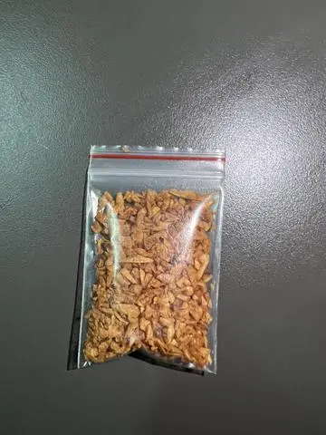 Hình ảnh Toi phi 
