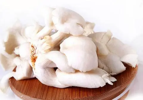 Hình ảnh Nấm Bào Ngư