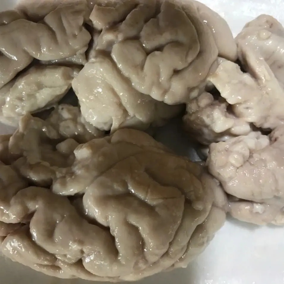 Hình ảnh Nửa Bộ Óc Heo lớn 
