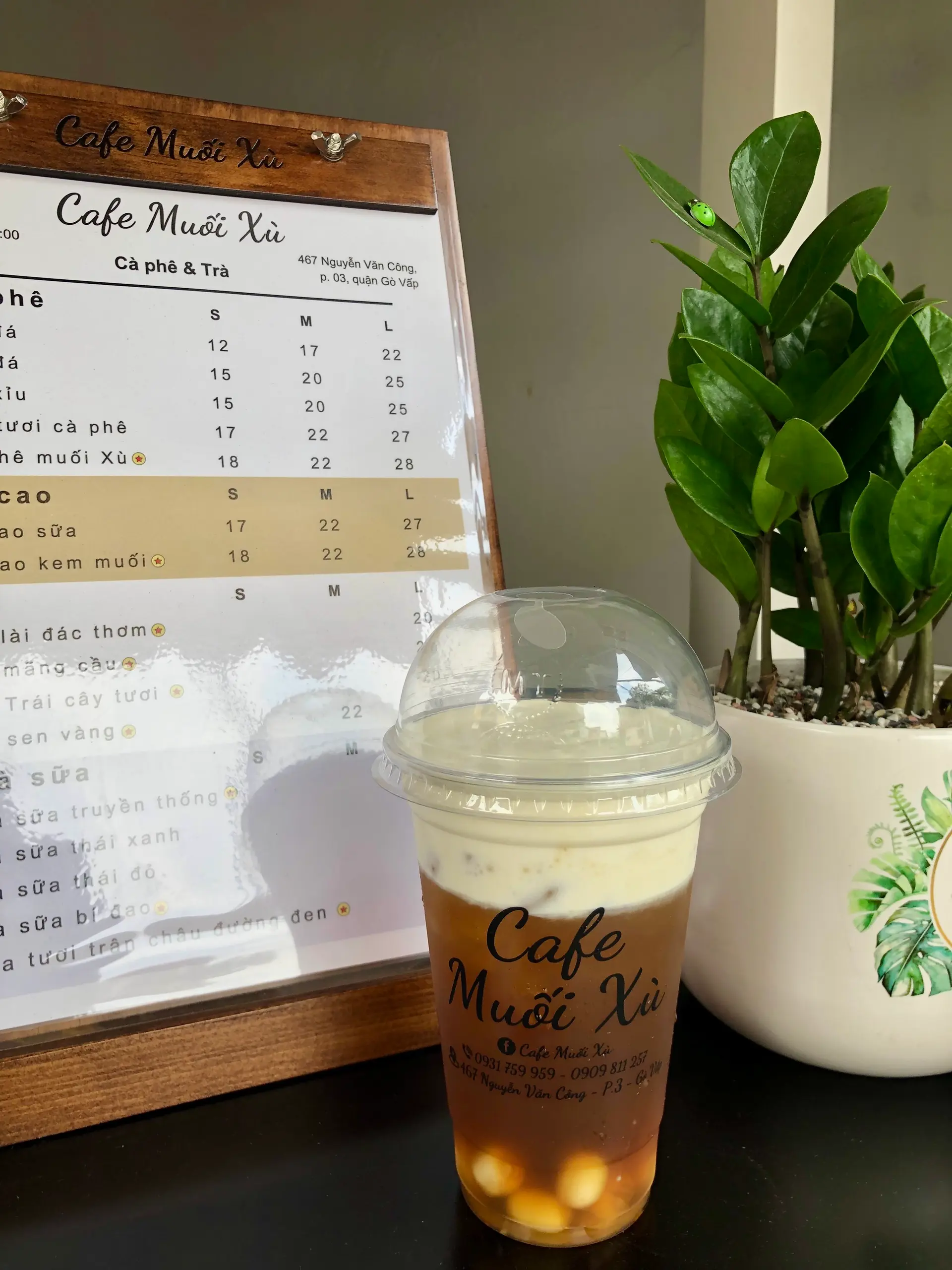 Hình ảnh Trà Sen Vàng