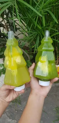 Hình ảnh NƯỚC MÍA KIWI CÂY THÔNG NOEL 450 ML NGUYÊN CHẤT DUY NHẤT CHỈ CÓ TẠI MÍA _DỪA GIA HUY.NHÂN DỊP GIÁNG SINH GIA HUY TẶNG ƯU ĐÃI KH