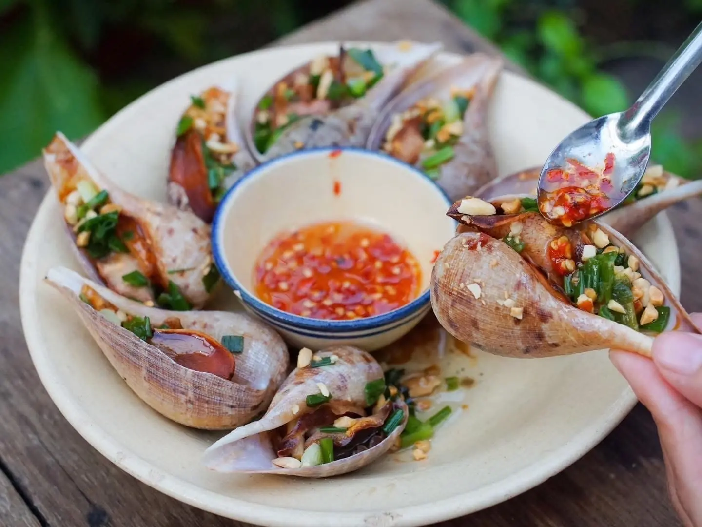 Hình ảnh ốc muỗng nướng mỡ hành 