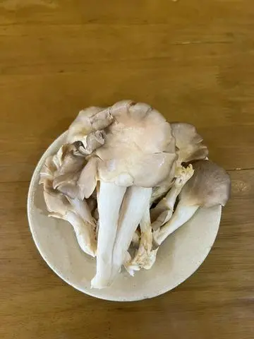 Hình ảnh Nấm Thêm 