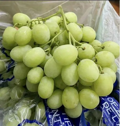 Hình ảnh NHO XANH ÚC (500g) 