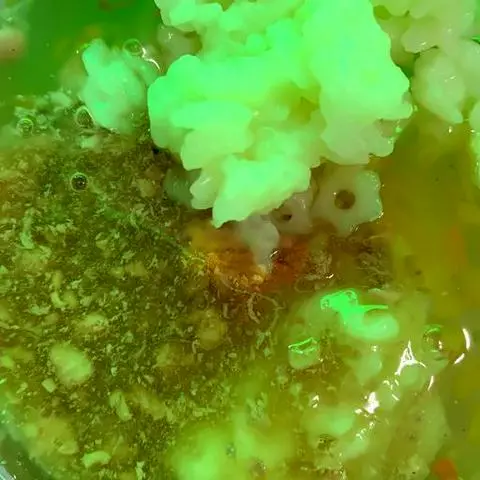 Hình ảnh Nui thịt bò nước sệt