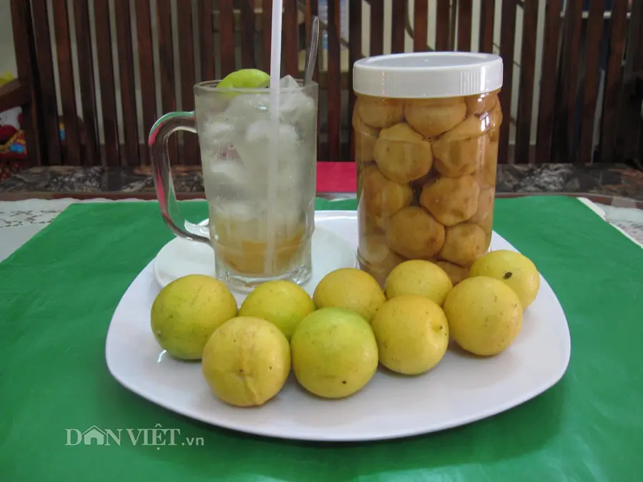 Hình ảnh Chanh muối