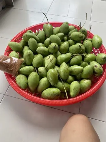 Hình ảnh xoài non ( 1kg)