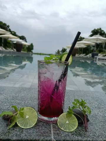 Hình ảnh SoDa Xương Rồng 