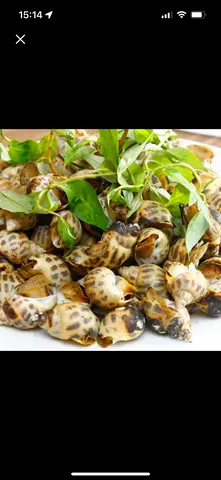 Hình ảnh ốc hương nướng mọi 