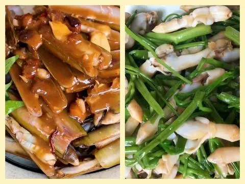 Hình ảnh Ốc Móng Tay