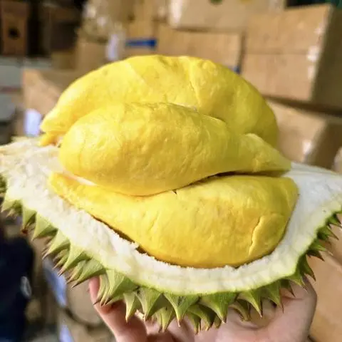 Hình ảnh 500g Cơm sầu riêng siêu ngon