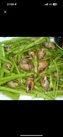Hình ảnh Ốc Cà Na xào rau muống
