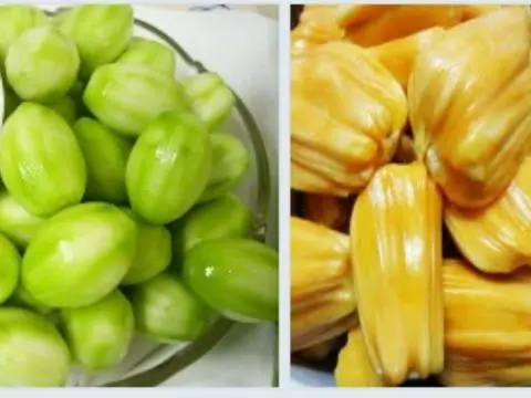 Hình ảnh Cóc Non và Mít Muối Tây Ninh lạnh ngon 500gr