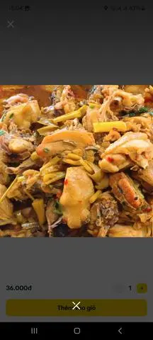 Hình ảnh Gà kho gừng 