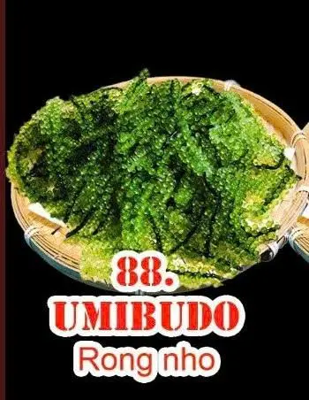 Hình ảnh 88. Umibudo