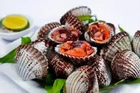 Hình ảnh Sò Huyết Lacotes