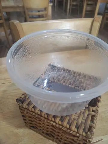 Hình ảnh tô ,muỗng, đũa, giấy ăn ,tăm 