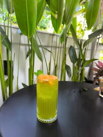 Hình ảnh Trà Dưa Lưới