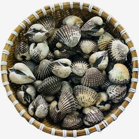 Hình ảnh  Sò Huyết Xào Me 