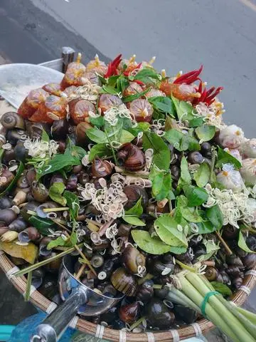 Hình ảnh Ốc hấp