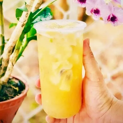 Hình ảnh Trà mãng cầu 700ml