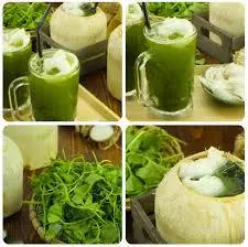 Hình ảnh RAU MÁ DỪA NON