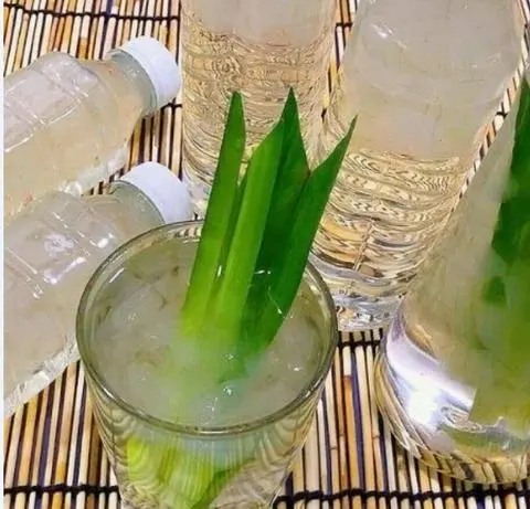 Hình ảnh Nha Đam